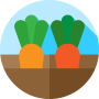 Vegetable